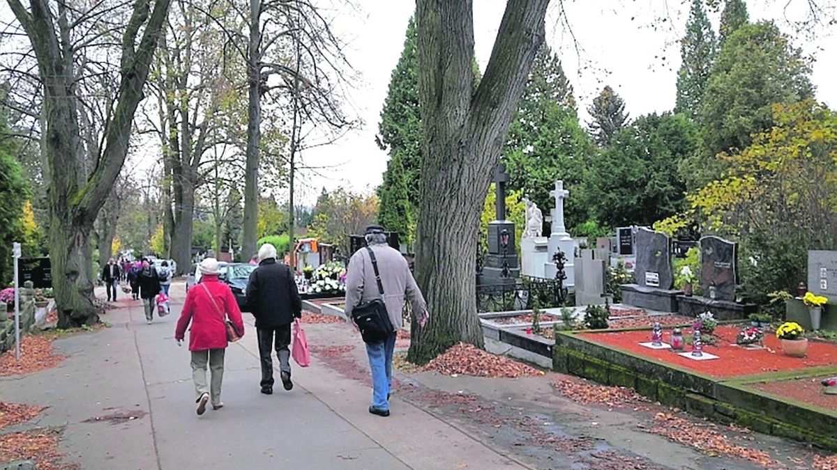Brněnské hřbitovy zlepšují služby. Nově budou on-line